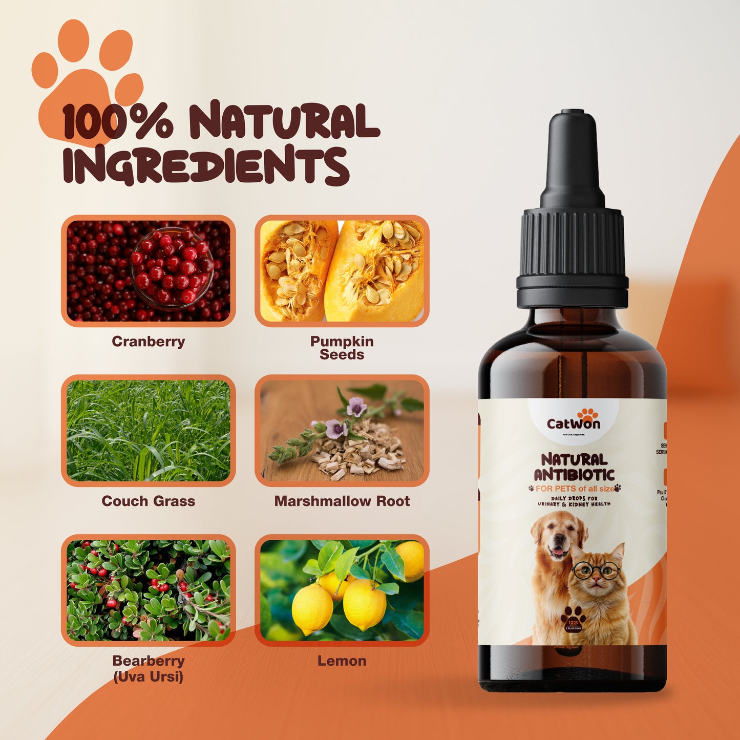 Natural Support for Urinary & Kidney Health