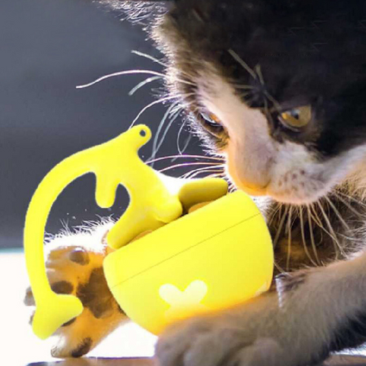 Interactive Self-Rolling Cat Toy for Engaging Playtime