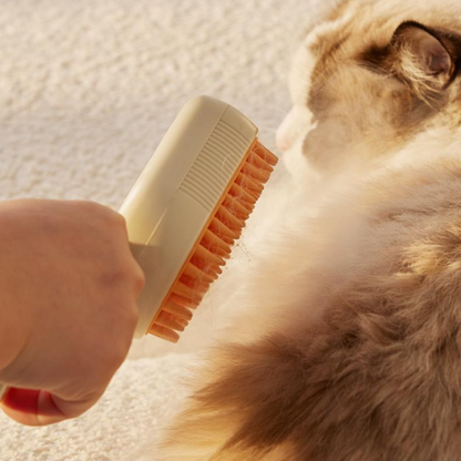 Interactive Pet Grooming Tool: Spray Massage Comb for Cats