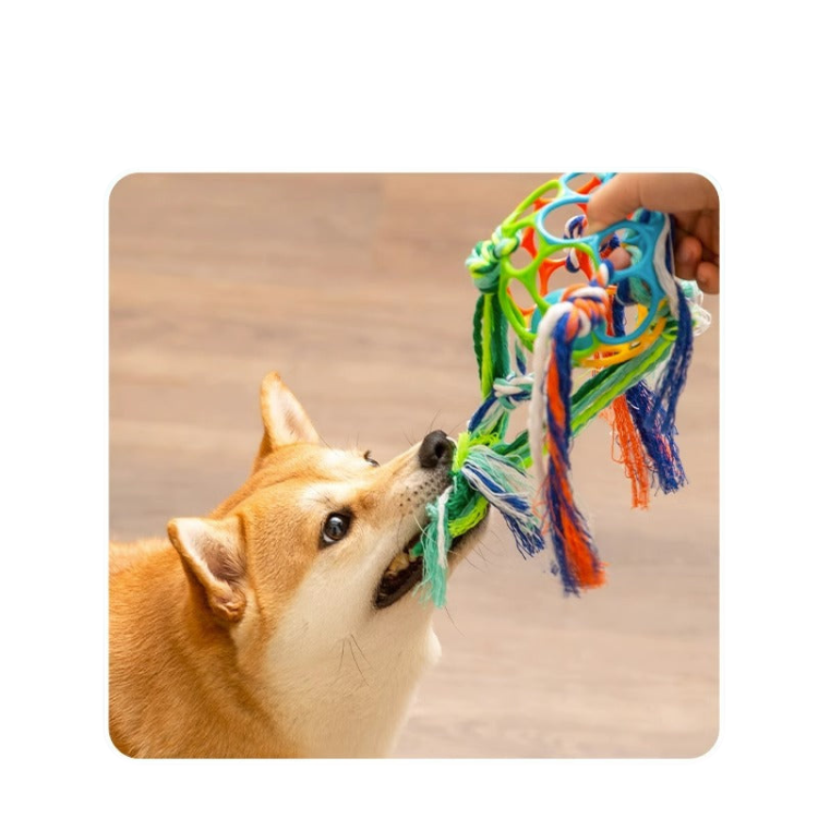 Interactive Dog Toy: Durable Bell Ball Rope for Fun Playtime