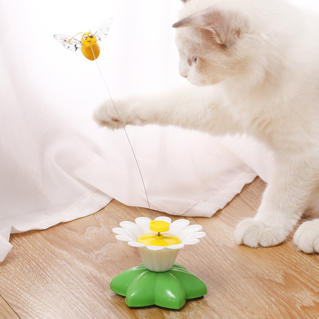 Interactive Rotating Butterfly Cat Toy for Endless Fun