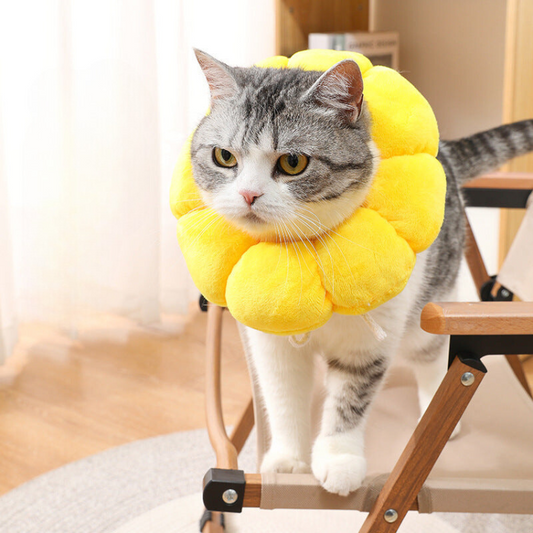 Sunflower Anti-Licking Pet Accessory - Soft & Comfortable