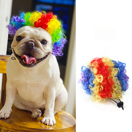 Funny Pet Hair Wig Costume - Fun Accessory for Pets