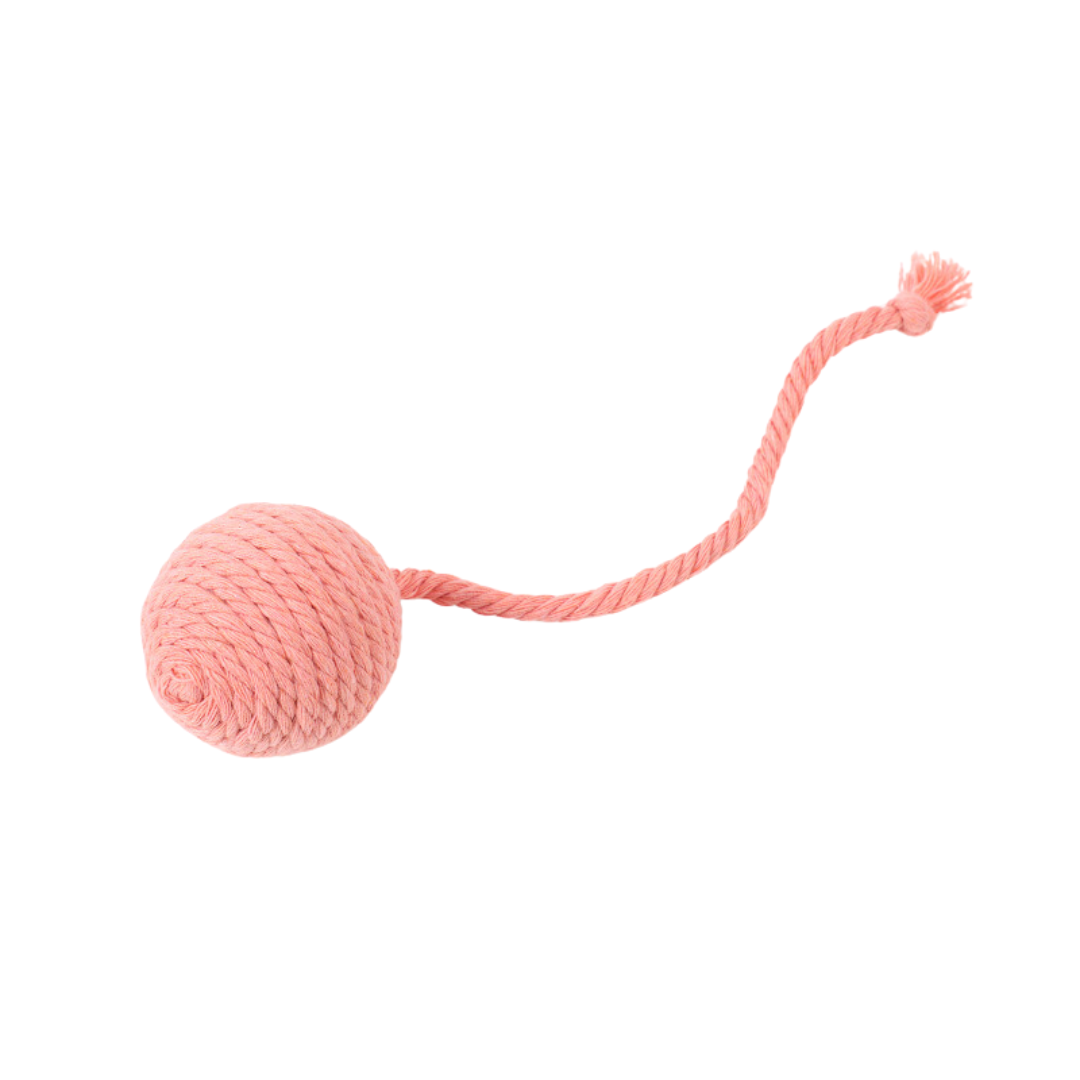 Interactive Cat Toy: Feather Rope with Sound for Endless Fun