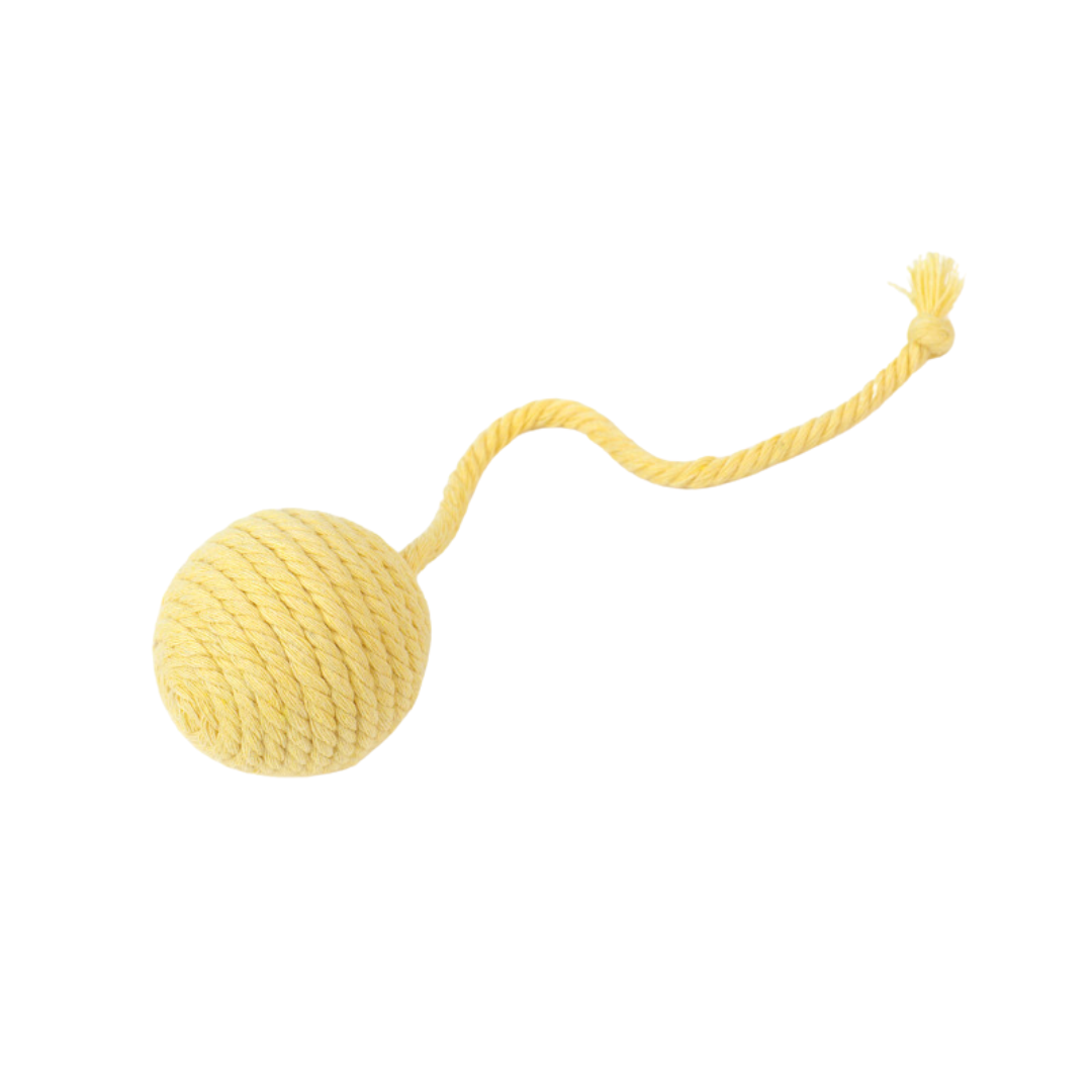 Interactive Cat Toy: Feather Rope with Sound for Endless Fun