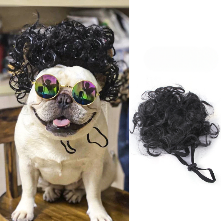 Funny Pet Hair Wig Costume - Fun Accessory for Pets