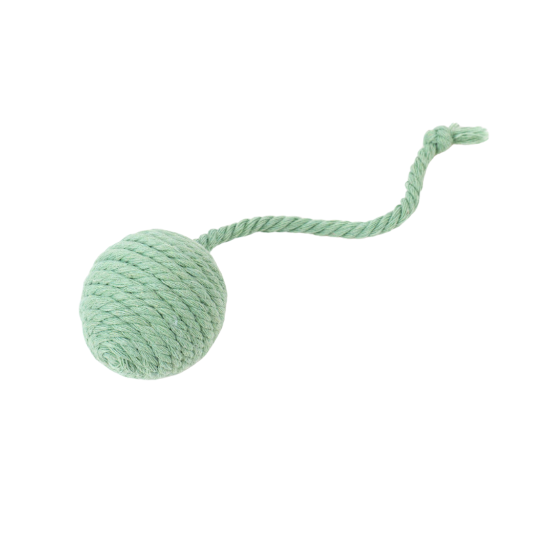 Interactive Cat Toy: Feather Rope with Sound for Endless Fun