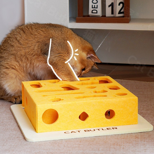 Interactive Cat Toy Maze Box for Engaging Playtime Fun