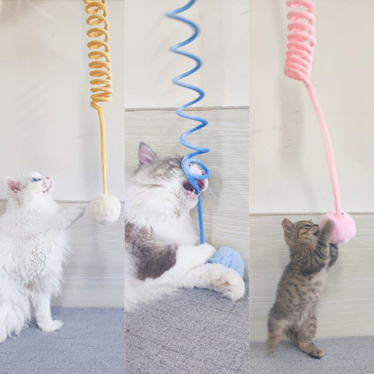 Interactive Hanging Cat Toy with Bell for Endless Fun