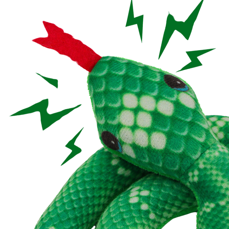 Interactive Crinkle Snake Toy for Dogs and Cats