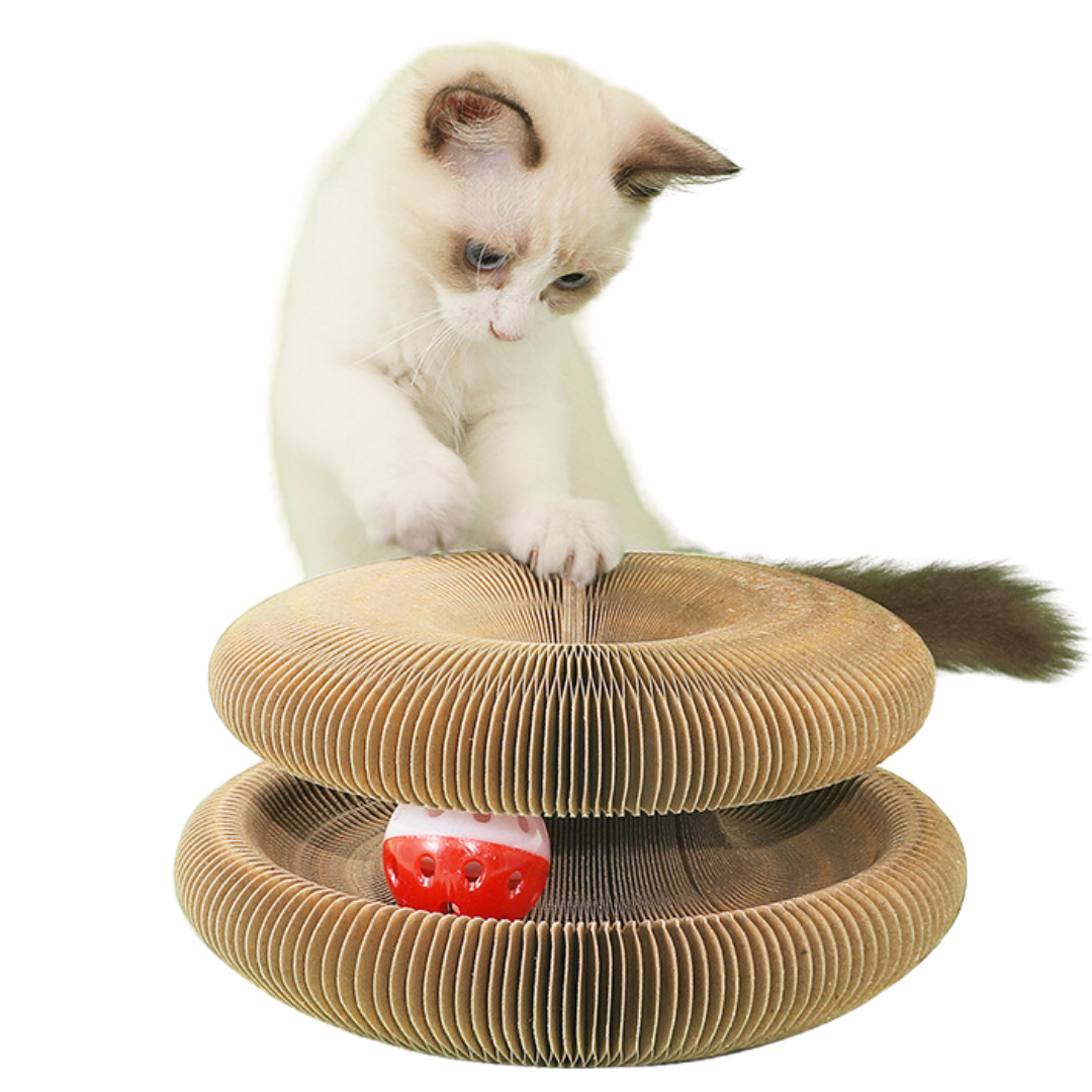 Interactive Cat Toy with Bell - Fun Scratcher for Cats