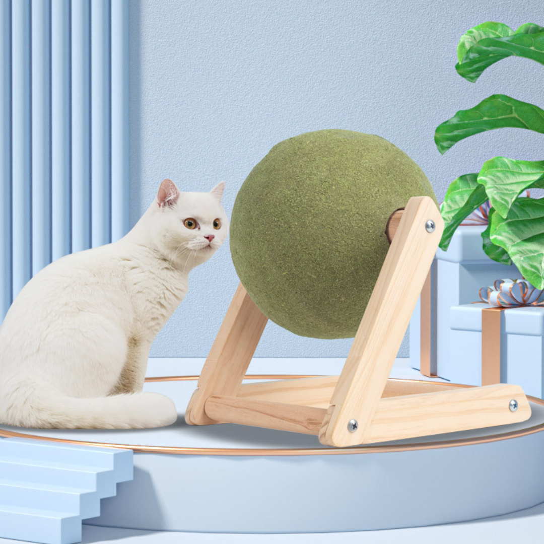 Interactive Catnip Licking Ball Toy for Fun Playtime