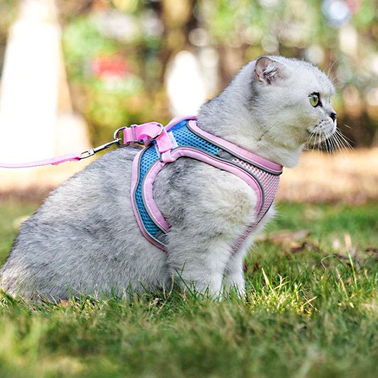 Durable Reflective Cat Harness & Leash for Safe Walks