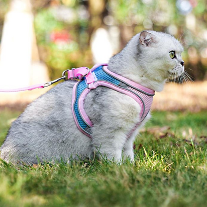 Durable Reflective Cat Harness & Leash for Safe Walks