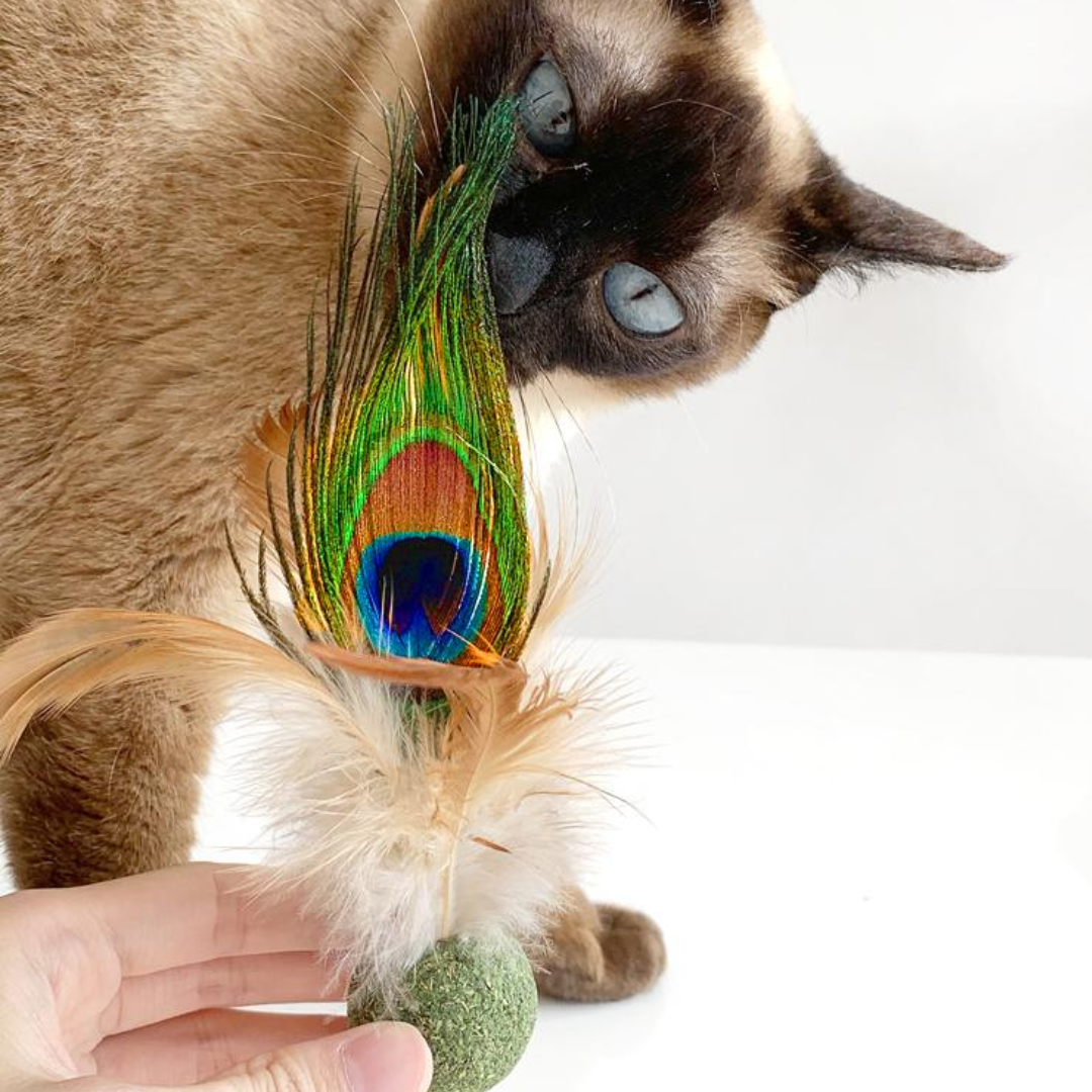 Interactive Catnip Ball Toy with Feather for Fun Playtime