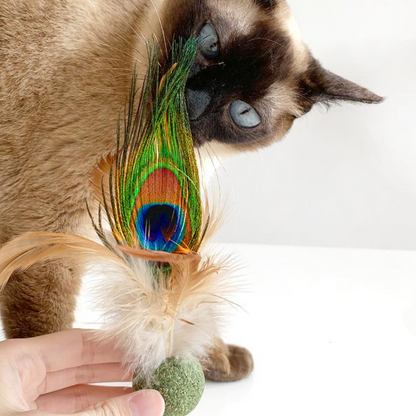 Interactive Catnip Ball Toy with Feather for Fun Playtime