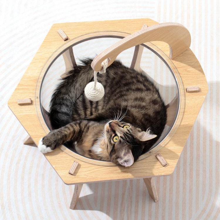 Interactive Transparent Cat Bed with Sisal Ball for Fun Play
