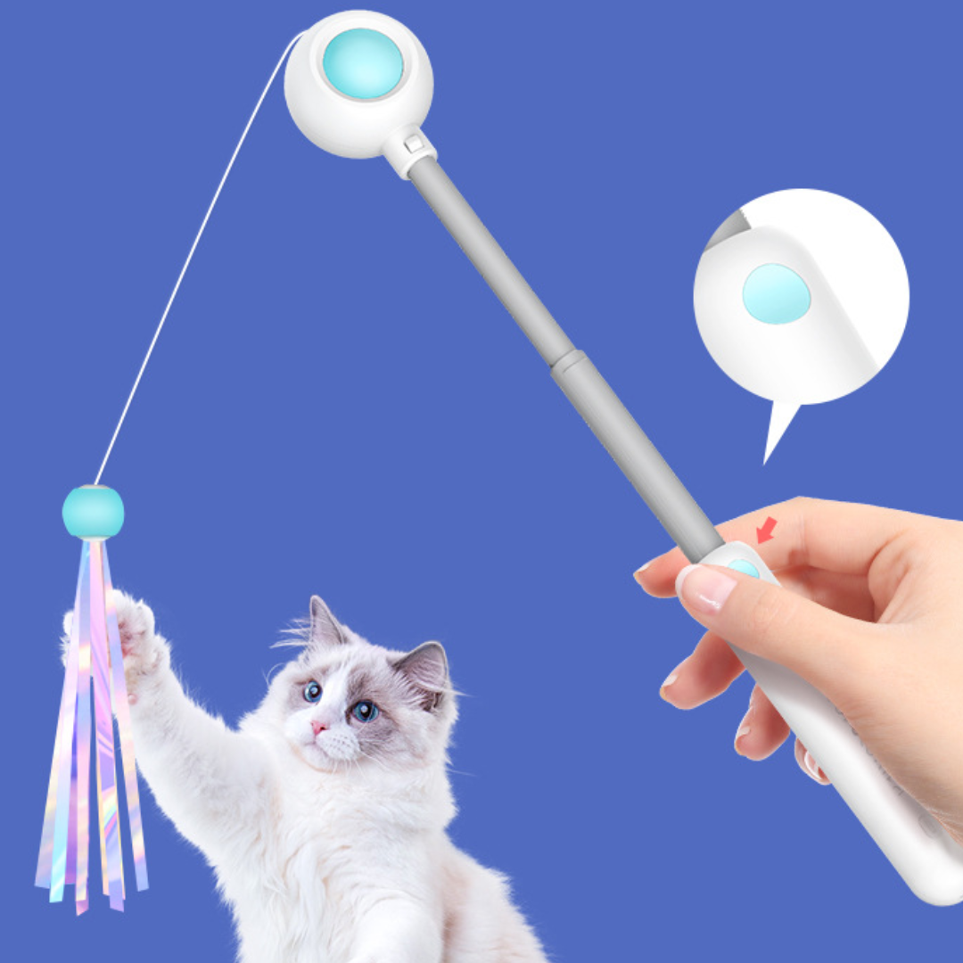 Interactive Cat Toy Wand with Laser Lights for Fun Playtime