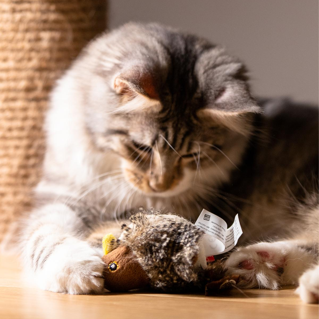 Interactive Bird Squeaker Toys for Cats and Dogs