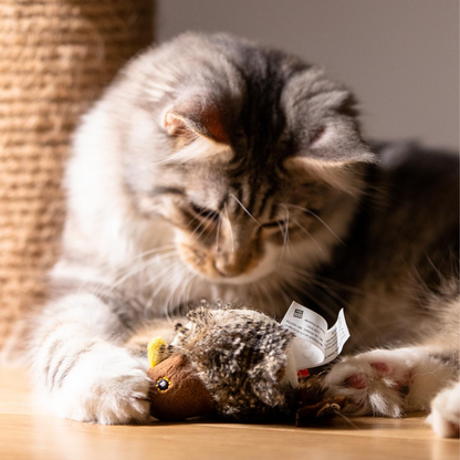 Interactive Bird Squeaker Toys for Cats and Dogs
