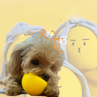 Durable Dog Toy: Fun Latex Chew Ball with Expressions