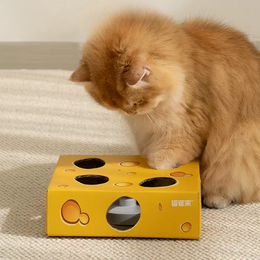 Interactive Electric Cat Toy - Fun Whac-a-Mole Cheese Box