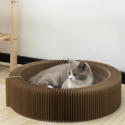 Interactive Cat Toy: Durable Scratching Board for Fun Play