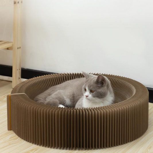 Interactive Cat Toy: Durable Scratching Board for Fun Play