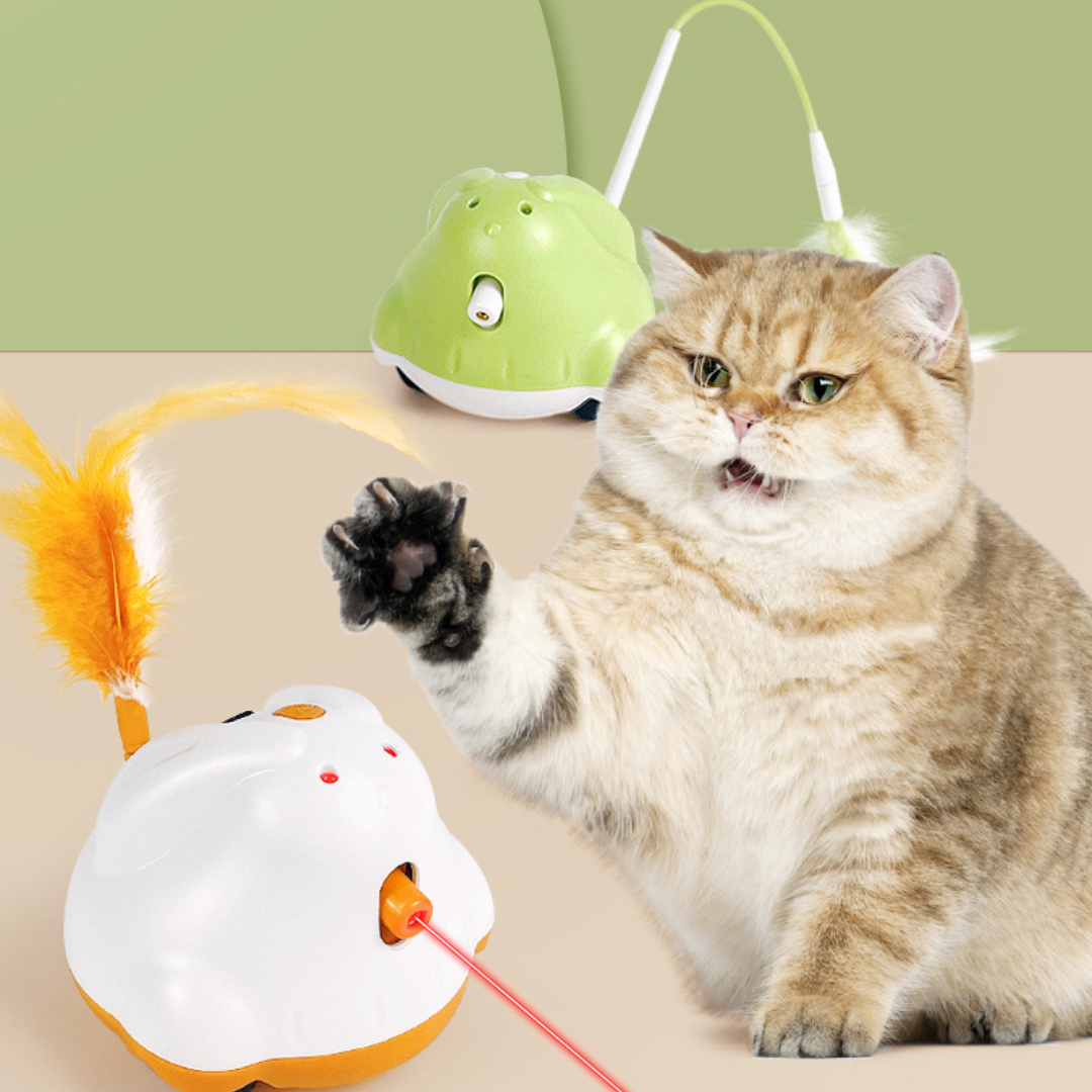 Interactive Cat Toy with Feather Teaser & Laser Light Fun