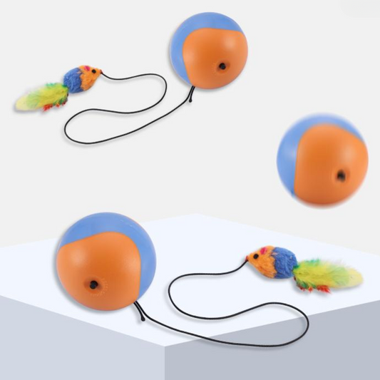Interactive Cat Toy: Rolling Ball with Mouse Feather Fun