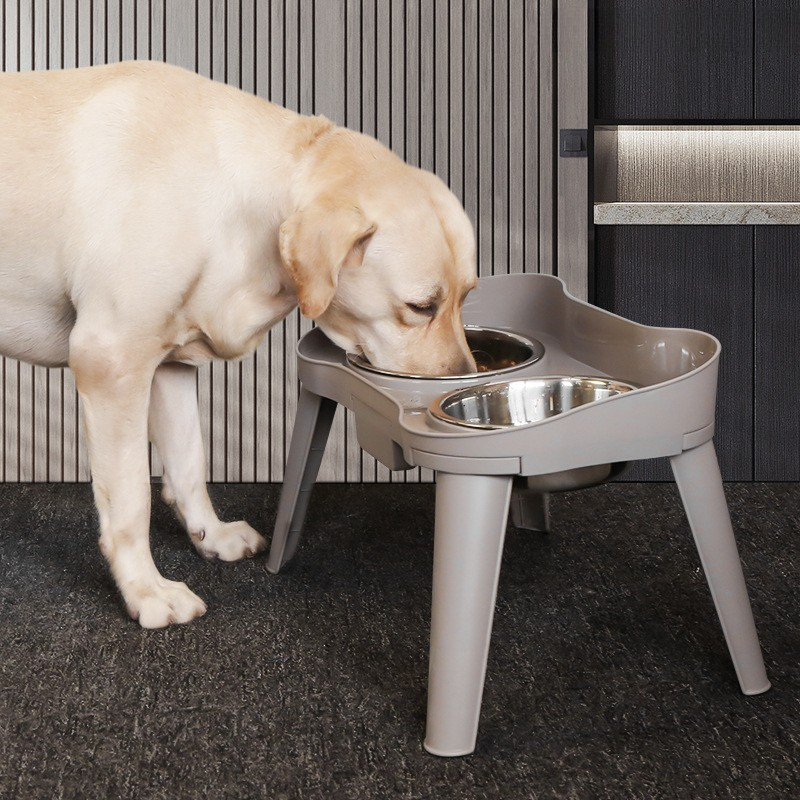 Durable Stainless Steel Dog Bowl with Sturdy Stand