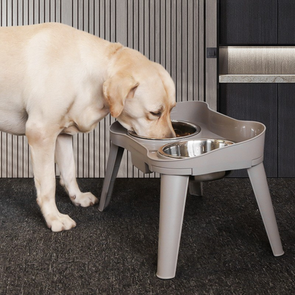 Durable Stainless Steel Dog Bowl with Sturdy Stand