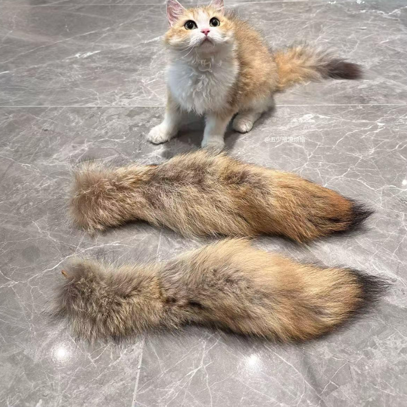 Interactive Cat Toy with Faux Fur Tail for Endless Fun