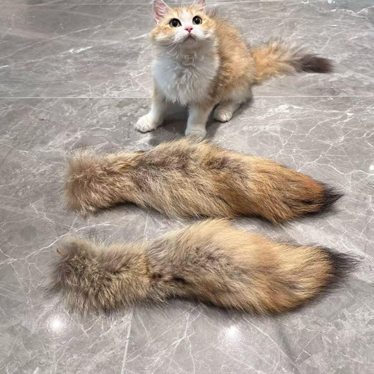 Interactive Cat Toy with Faux Fur Tail for Endless Fun
