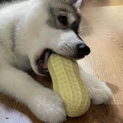 Durable Peanut Squeaker Dog Toy for Interactive Fun