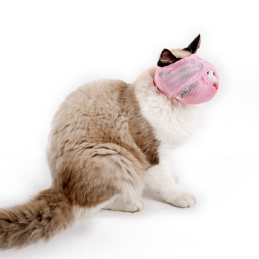Comfortable Mesh Cat Mask for Safe, Breathable Wear