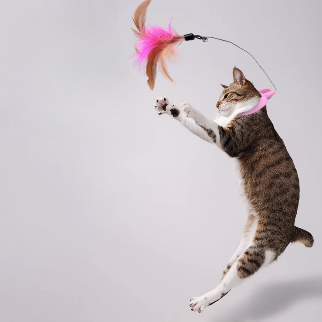 Interactive Cat Feather Teaser Toy for Engaging Playtime