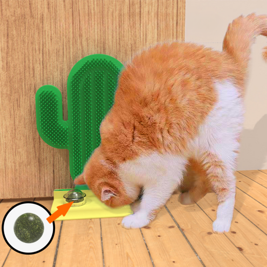 Interactive Cactus Cat Groomer Brush with Catnip