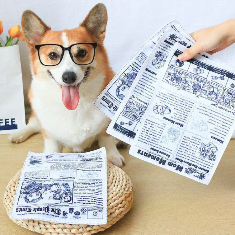 Interactive Pet Crinkle Paper Toys for Fun Playtime
