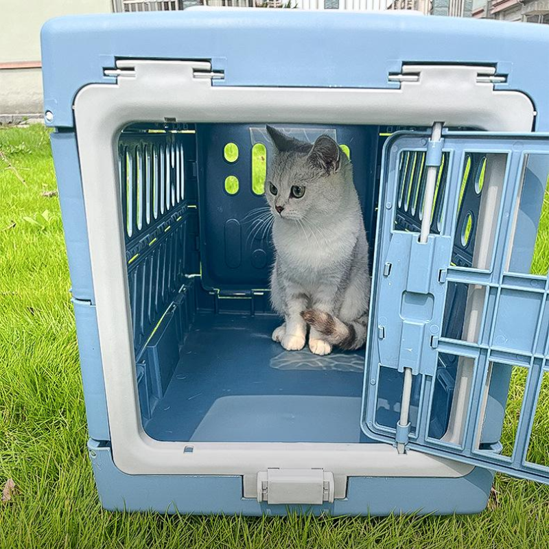 Durable Foldable Pet Carrier Box for Easy Travel