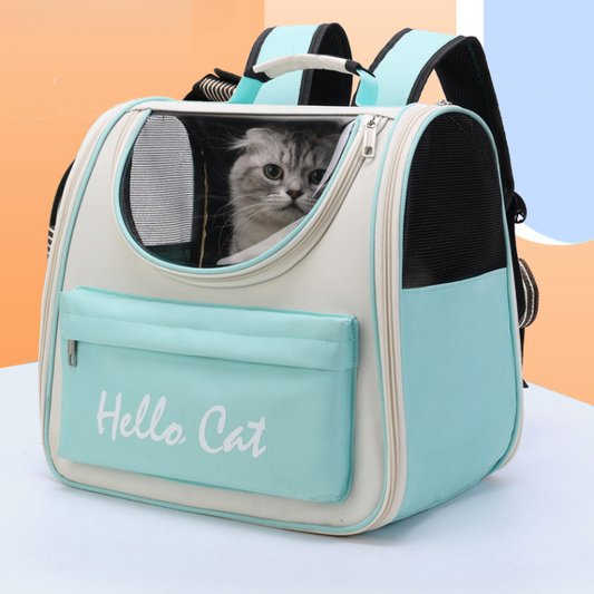 Windproof Cat Carrier Backpack for Safe Outdoor Travel