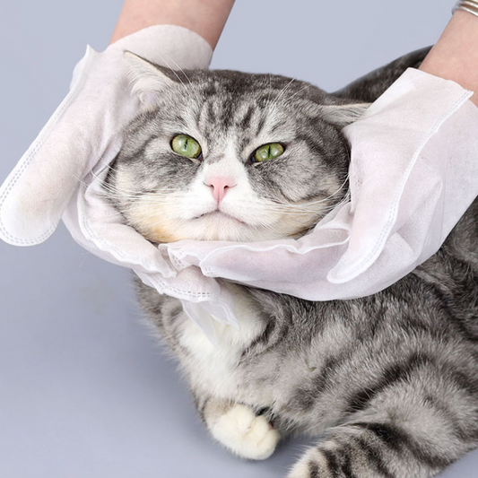 Pet Grooming Tool: Convenient Disposable Glove Wipes