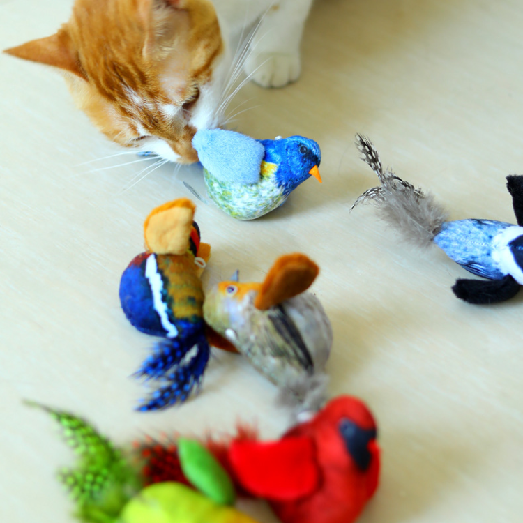 Interactive Cat Toy with Realistic Bird Sounds & Feathers