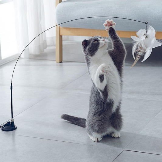 Interactive Suction Cup Cat Toy with Feather Teaser