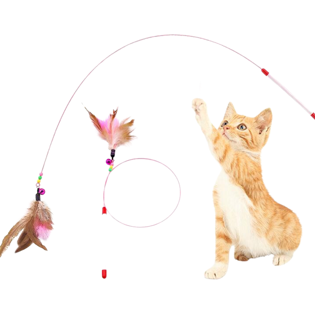 Interactive Cat Toy: Fun Feather Teaser for Playtime