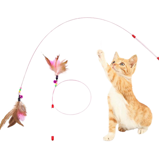 Interactive Cat Toy: Fun Feather Teaser for Playtime