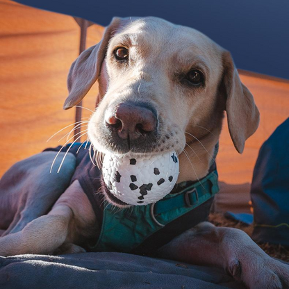 Durable Dog Chewing Ball Toy - Fun & Interactive Play!