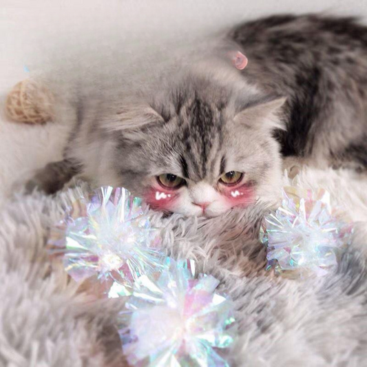 Interactive Crinkle Balls - Fun Indoor Cat Toy