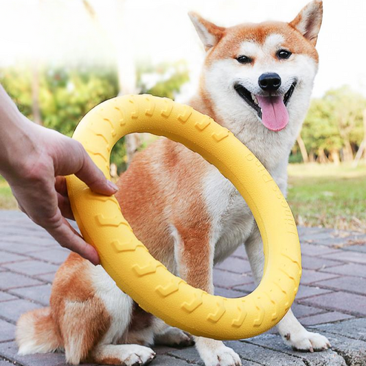 Durable Dog Chew Ring Ball Toy for Interactive Play
