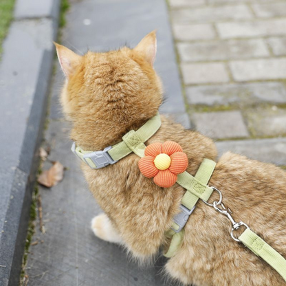 Adjustable Escape-Proof Cat Leash Collar for Safe Walks